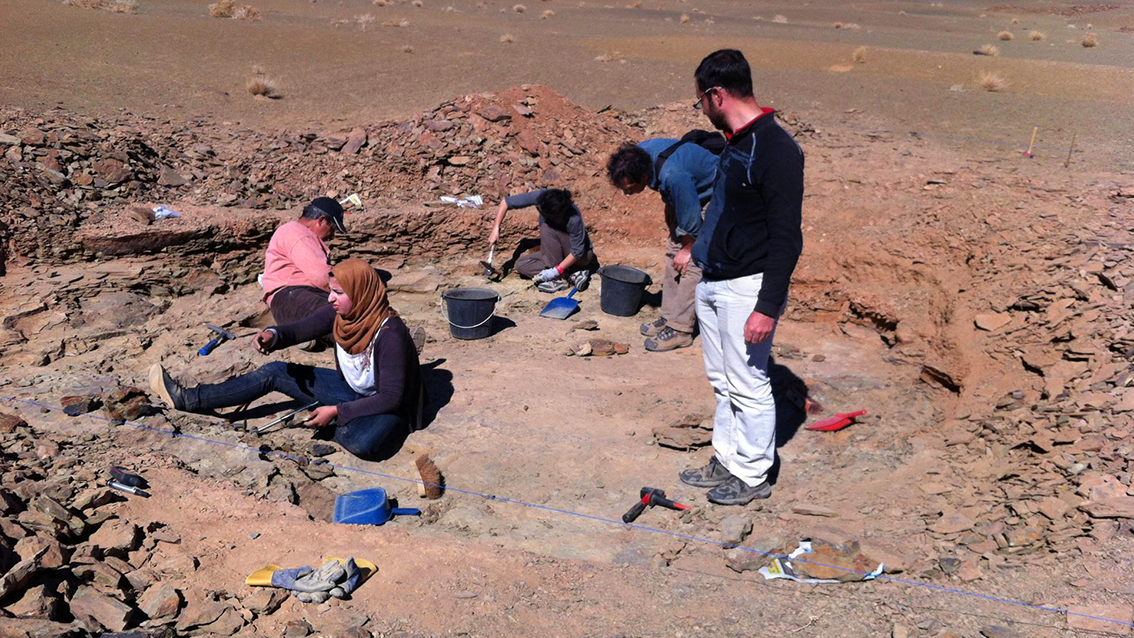 Paléontologie De nouvelles trouvailles à Fezouata Zamane